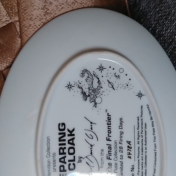 Preparing to Cloak from Space The Final Frontier Star Trek oval collectors plate - Picture 7 of 14